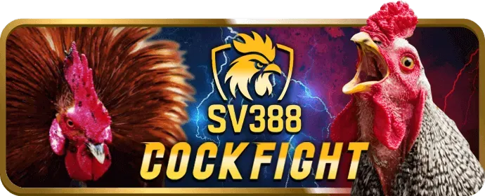 Hỗ trợ trực tuyến 24/7 của k8vina